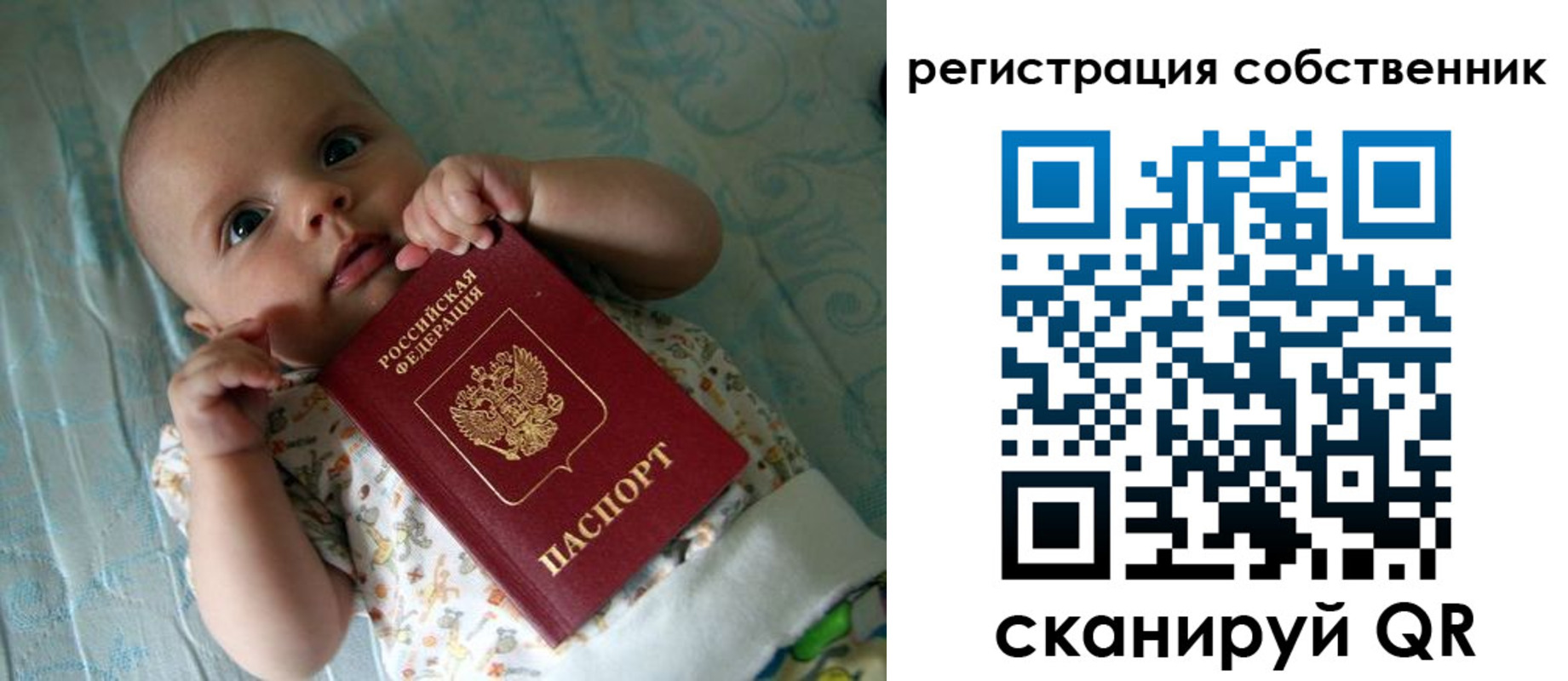 прописка иностранных граждан в Ленинградской области